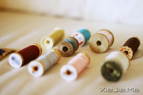Z(y)(jin)(qing)(yng) (8)
