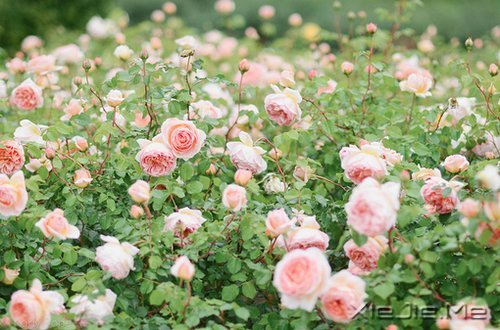 xԏጿ (2)
