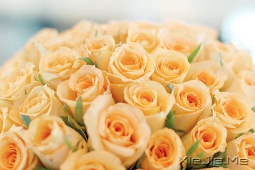xԏጿ (1)