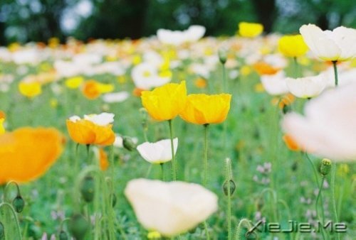 x£ԏጿ (3)