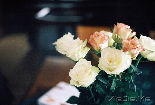 xԏጿ (4)