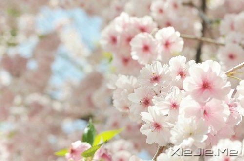 xԏጿ (5)
