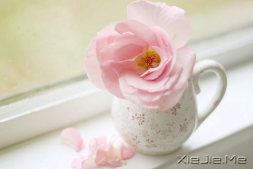 x£ԏጿ (6)