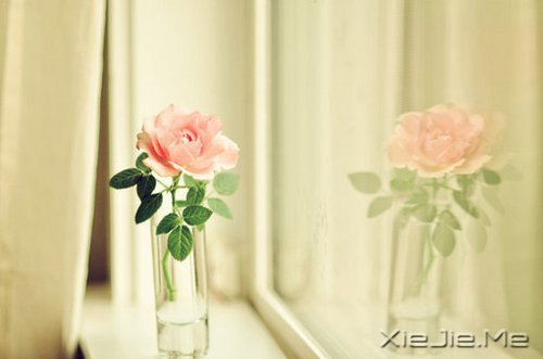 xԏጿ (9)
