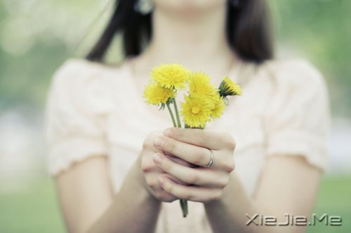 ƽco`һN (5)