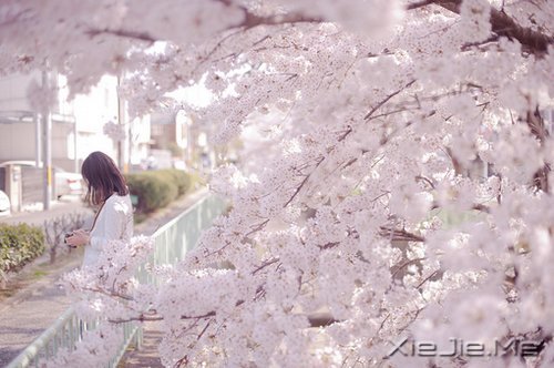 ֪ԸӽҸ (2)