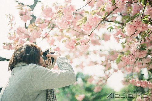֪ԸӽҸ (3)