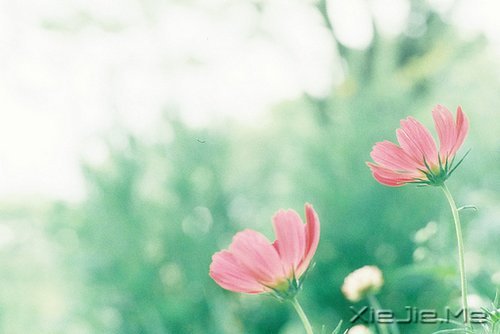 ֪ԸӽҸ (6)