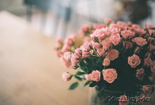r(sh)Fֻ҂һȥ (2)