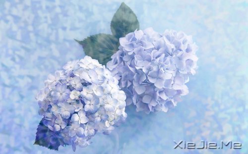һ犚⣬ʧȥ60Ŀ옷 (2)