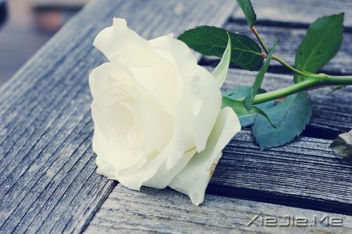 һ犚ʧȥ60Ŀ옷 (4)