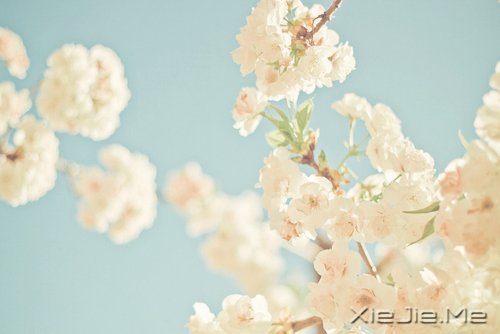 һ犚ʧȥ60Ŀ옷 (7)