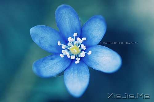Ȼһ矟 (1)