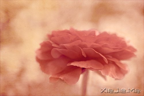 ȻһУ矟 (2)