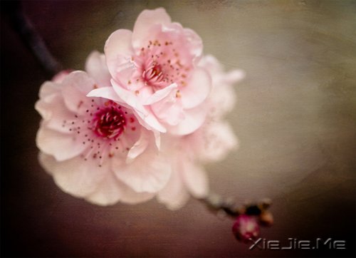 Ȼһ矟 (3)