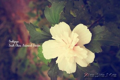 Ȼһ矟 (5)