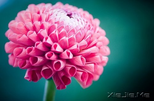 Ȼһ矟 (7)