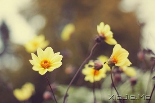 Ȼһ矟 (8)