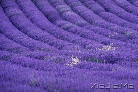 ҪeԼ (1)