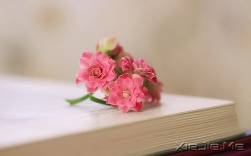 Л]ȻֻĸԸ (4)