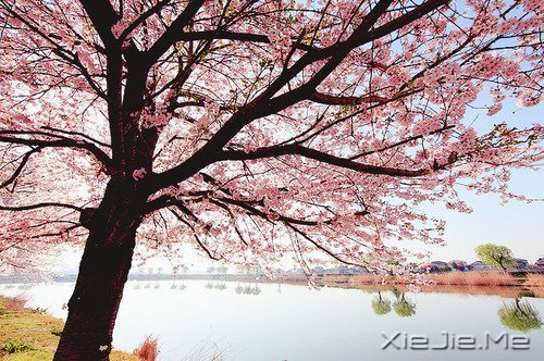 ܳɹc(jng) (2)