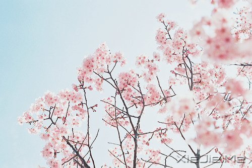 ܳɹc(jng) (4)