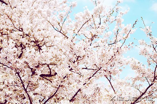 ܳɹc(jng) (5)