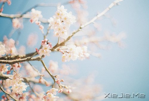 ܳɹc(jng) (9)