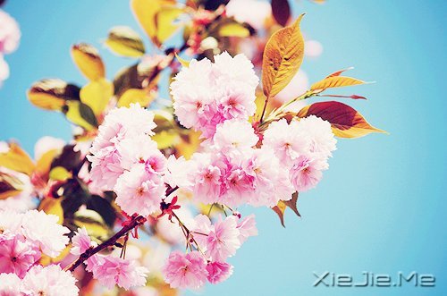 ֻҪ(ni)Ĳyͺy׃ʲô (1)
