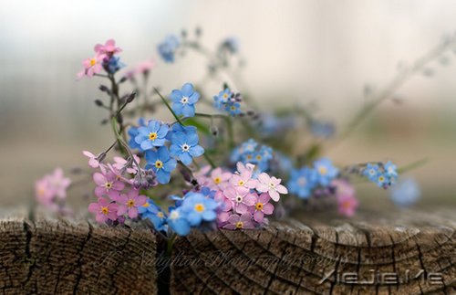 ;^(gu)֪\ (4)