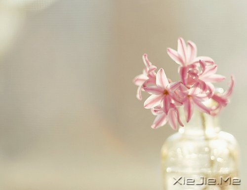 ;^(gu)֪\ (5)