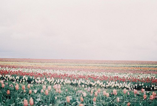 ڴһ(g)ľxrõӛ (6)