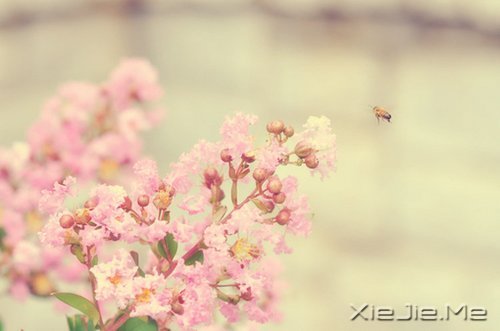 Ҫe˵_ӡԼ· (1)