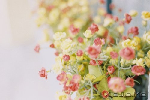簲Z\\ (7)