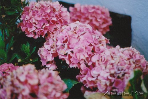 Z˲ںҹЛ]й (6)