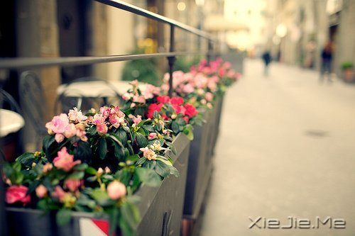 簲Z^ȥľ^ȥȻ (1)