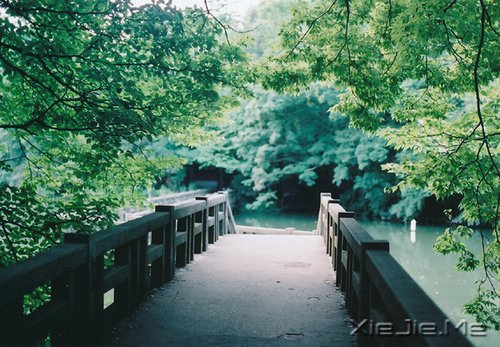 簲Z^ȥľ^ȥȻ (2)