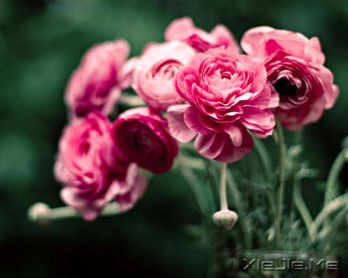 簲Zppĺ\\΢Ц (3)