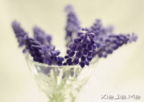 簲Zppĺ\\΢Ц (5)