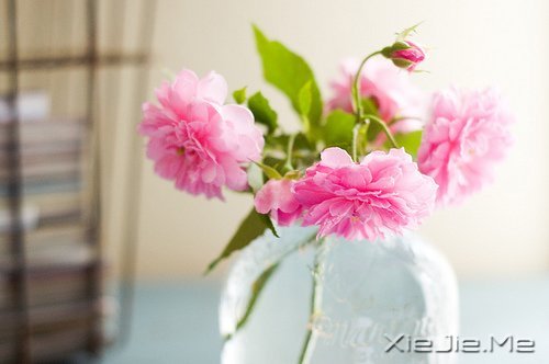 簲Zppĺ\\΢Ц (7)