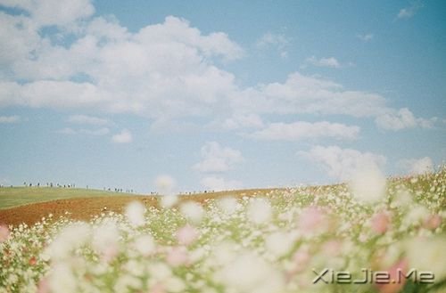 早安心語：淡然，是人生的一種成長(zhǎng) (6)