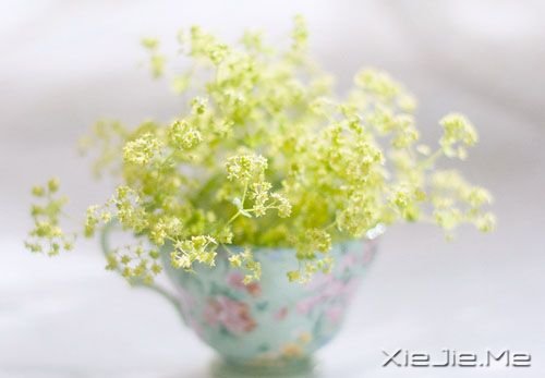 早安心語：淡然，是人生的一種成長(zhǎng) (2)