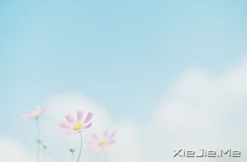 早安心語：淡然，是人生的一種成長(zhǎng) (3)