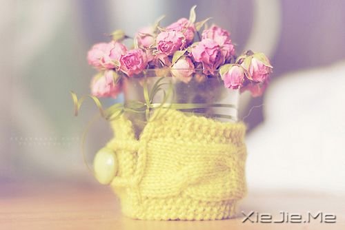 Z¸΢Ц挦 (1)