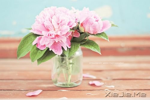 Z¸΢Ц挦 (6)