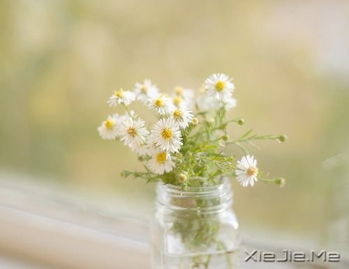 Z˲ںҹЛ]ꖹ (3)