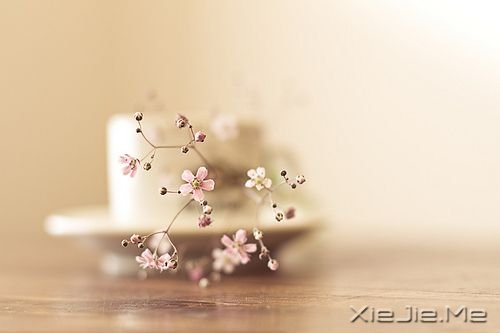 簲Z룬Ǟ (10)