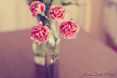 Zǻؑ^m(x) (5)