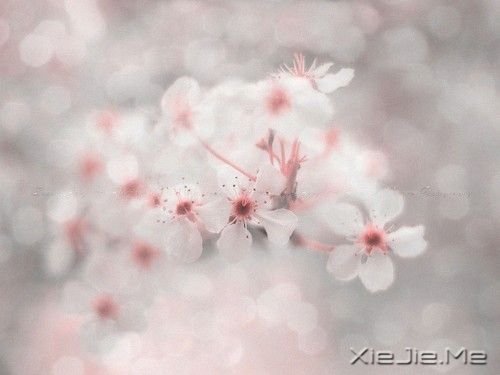 ZԸɞԼ̫ (4)