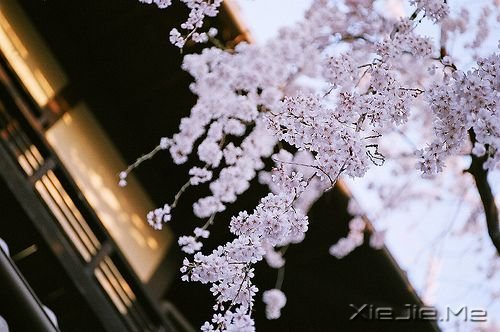 ZԸɞԼ̫ (5)